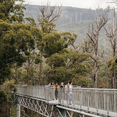 Tahune Airwalk Cabin And Lodge Geeveston Exteriér fotografie