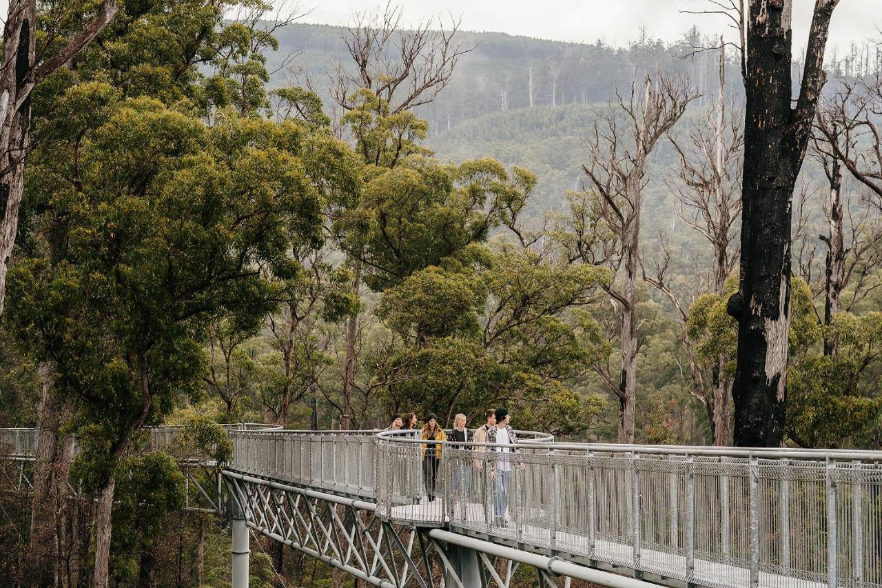 Tahune Airwalk Cabin And Lodge Geeveston Exteriér fotografie