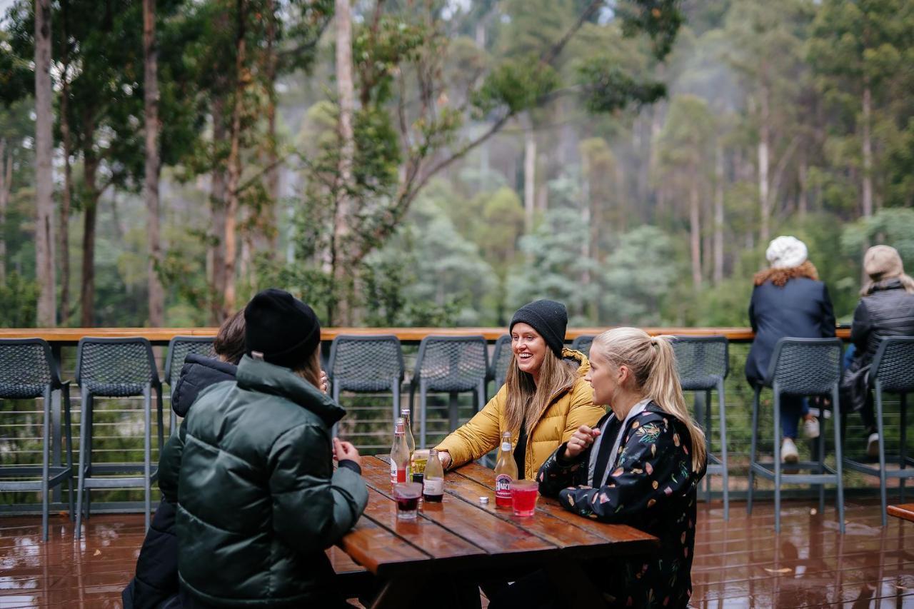 Tahune Airwalk Cabin And Lodge Geeveston Exteriér fotografie