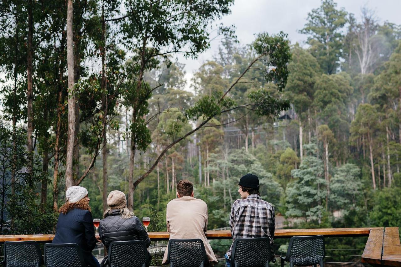 Tahune Airwalk Cabin And Lodge Geeveston Exteriér fotografie