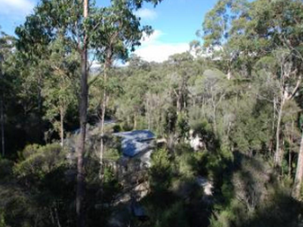 Tahune Airwalk Cabin And Lodge Geeveston Exteriér fotografie