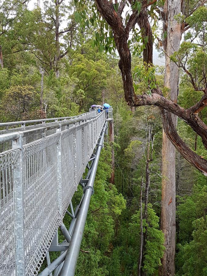 Tahune Airwalk Cabin And Lodge Geeveston Exteriér fotografie