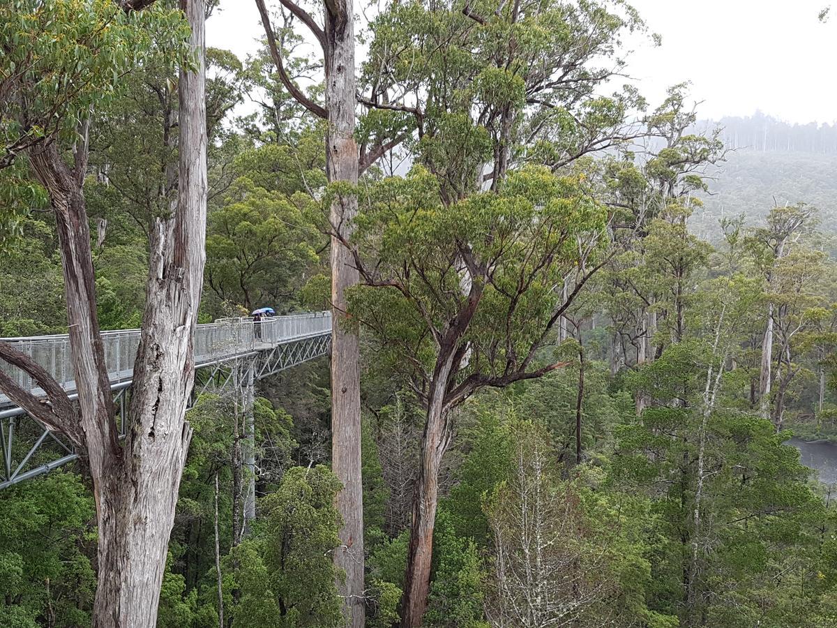 Tahune Airwalk Cabin And Lodge Geeveston Exteriér fotografie