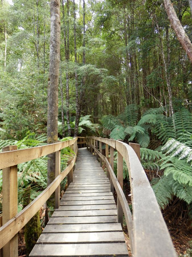 Tahune Airwalk Cabin And Lodge Geeveston Exteriér fotografie