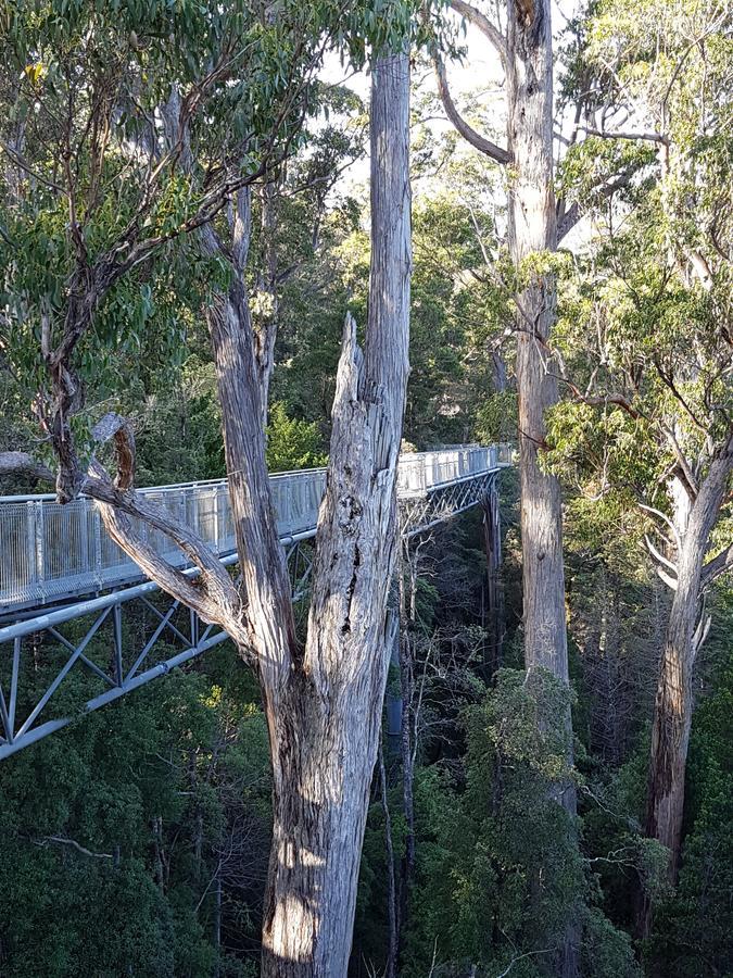 Tahune Airwalk Cabin And Lodge Geeveston Exteriér fotografie