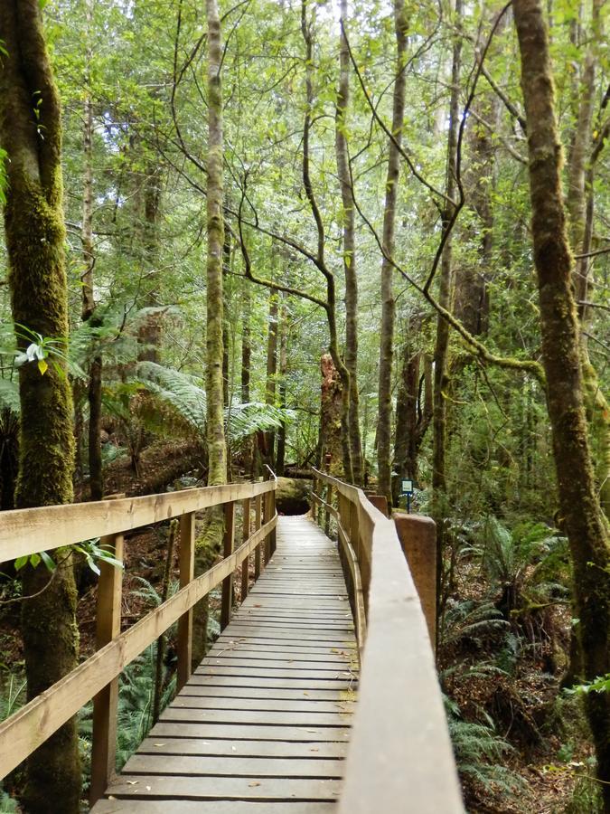 Tahune Airwalk Cabin And Lodge Geeveston Exteriér fotografie