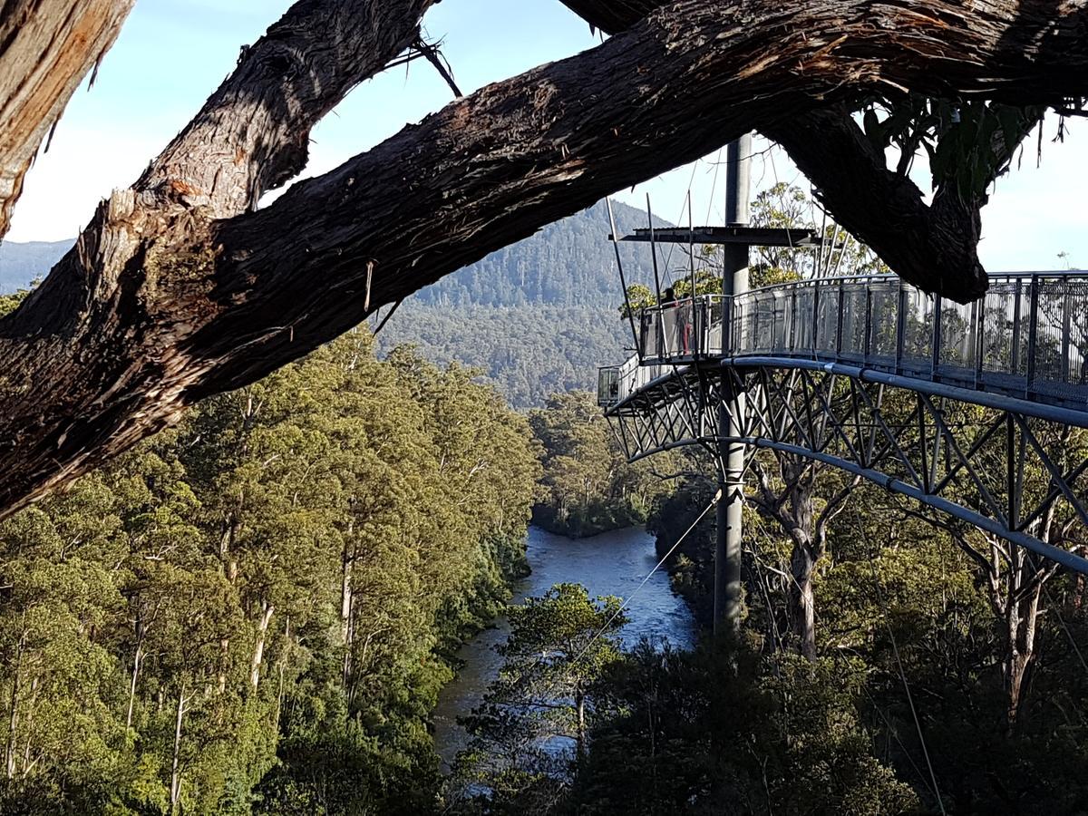 Tahune Airwalk Cabin And Lodge Geeveston Exteriér fotografie